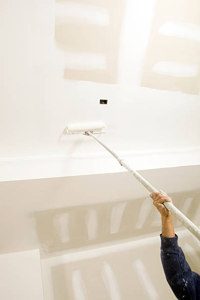 Best Mold Removal for HVAC Installations  in Valley Falls, KS
