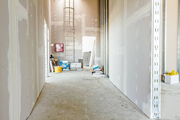 Best Mold Remediation for Healthcare Facilities  in Valley Falls, KS