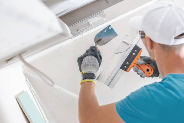 Best Attic Mold Removal  in Valley Falls, KS